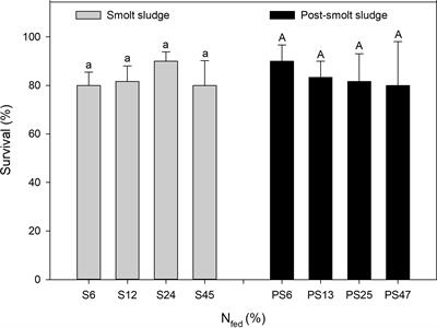 Biochemical composition of Hediste diversicolor (OF Müller, 1776) (Annelida: Nereidae) reared on different types of aquaculture sludge